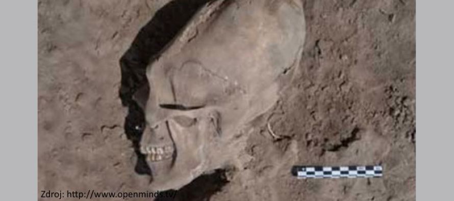 „Mimozemské“ lebky nalezené v Mexiku