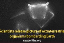 Vědci poskytli fotografii mikroskopické mimozemské formy života